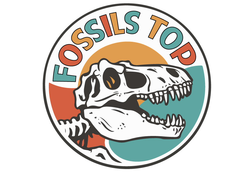 Fossils