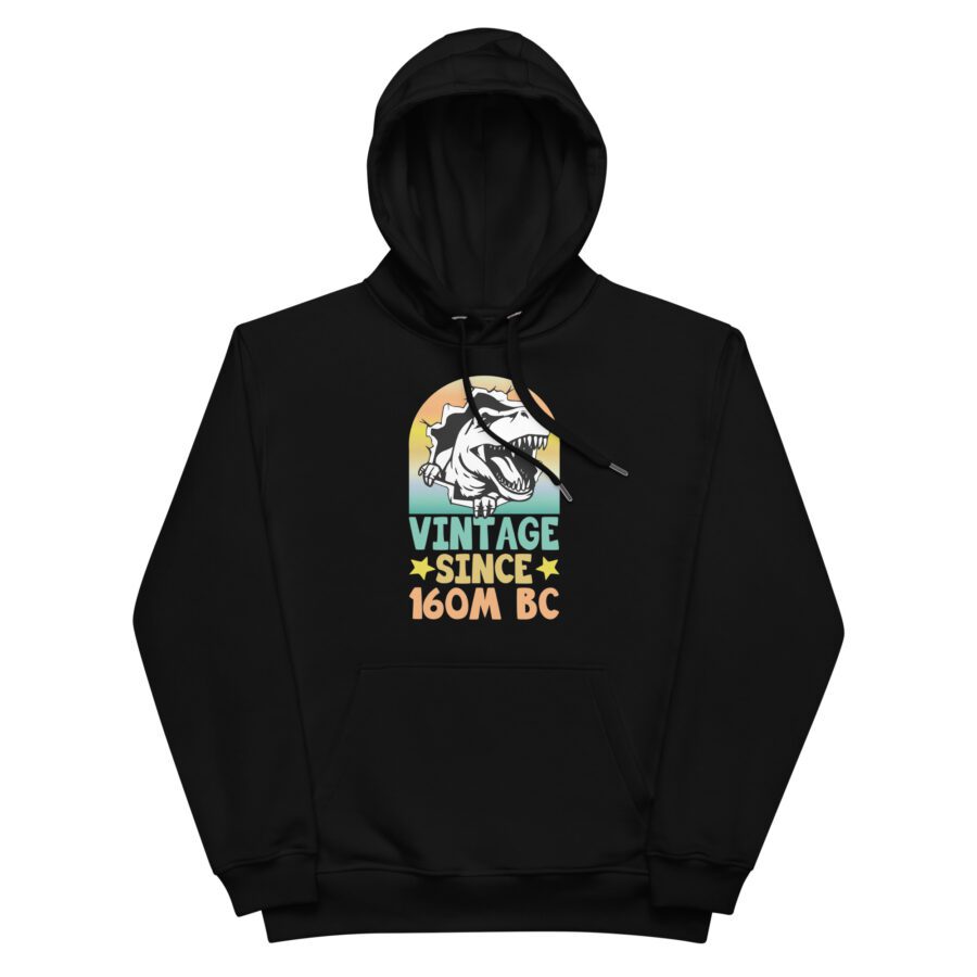"Vintage Since 160M BC" Premium Hoodie - Image 3